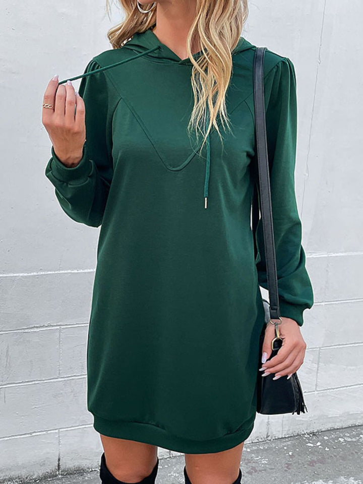 EJC Drawstring Puff Sleeve Hooded Dress