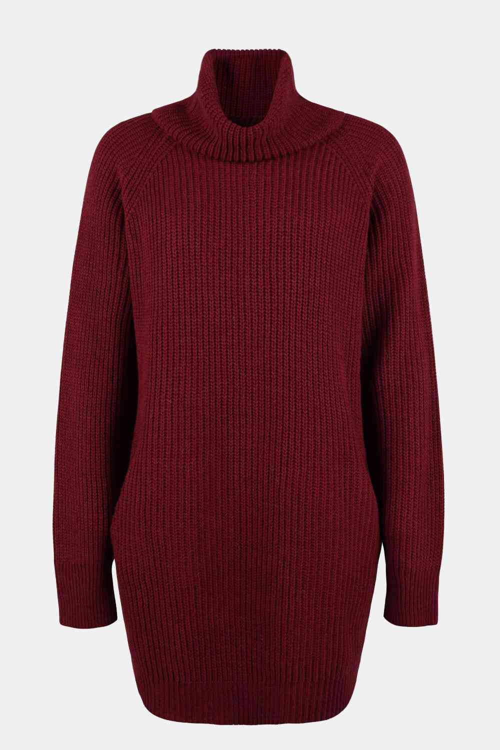 EJC Turtleneck Sweater Dress with Pockets