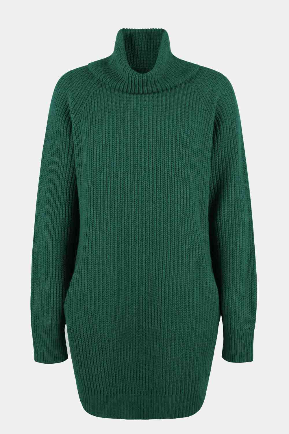 EJC Turtleneck Sweater Dress with Pockets